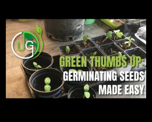 Green Thumb Chronicles: Bahçecilik Hikayeleri Açığa Çıktı